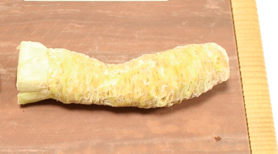 液体凍結機リセラで急速冷凍したワサビ