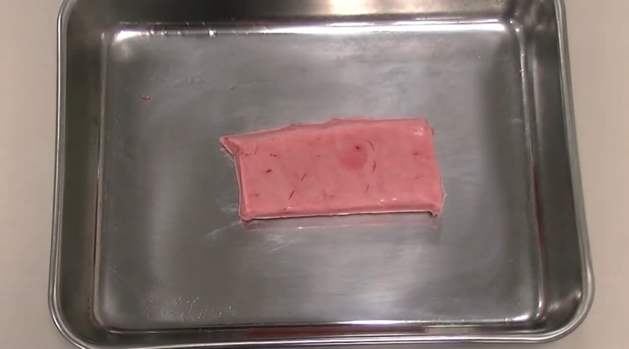 液体凍結機リセラで急速冷凍したマグロ